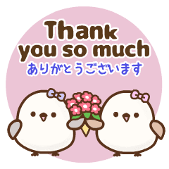 Fly and Tell ! Small bird [ENG&JPN]