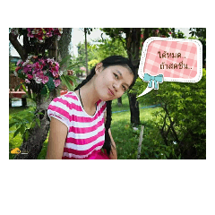 N'ploy My Love