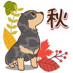 ダックス大好き【秋】シルバー