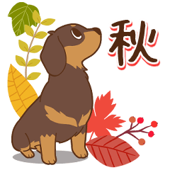 ダックス大好き【秋】チョコタン