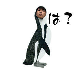 sugar_20250906234344