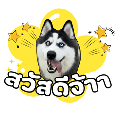 ข้าวจ้าว ทักทาย!! V1