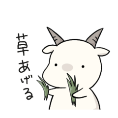 aono_20250907003426