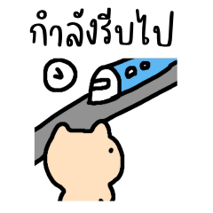 แมวน้อยน่ารักสำหรับแชททุกวัน