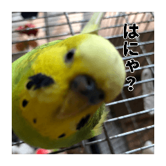 ohagi_20250907091656