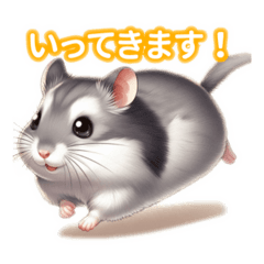Super Cute Djungarian Hamster