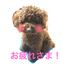 chocolatkun