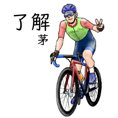 Kaya's realistic bicycle