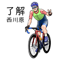 Nishikawahara's realistic bicycle