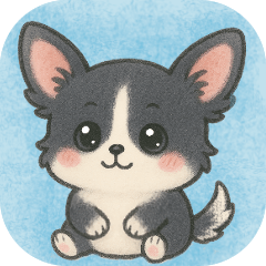 Cute/Black and Tan Chihuahua