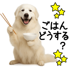 Great Pyrenees Family Contact