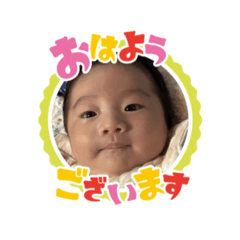 rippinostamp