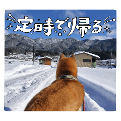 nanami_20250907193825