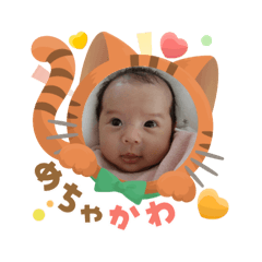 hi_kahakai_20250907193612