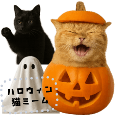 Cat Halloween frames