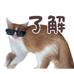 gorio_20250907154442