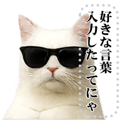 Cat with sunglasses & more