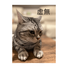 peipei_20250907205011