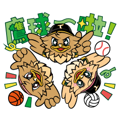 TSG台鋼鷹家三兄妹