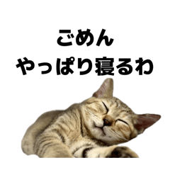 ありさスタンプVer.1.1