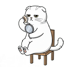 grumpy cat2: Scotish Fold