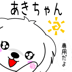 ♦️あきちゃん専用♦️使える名前スタンプ
