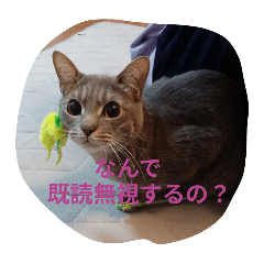 rucchan_20250907171035