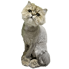 うーたんすたんぷ！2