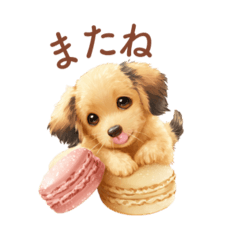 yasuko_20250907174122