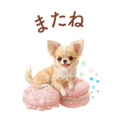 yasuko_20250907173852