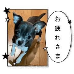chi-chan0907