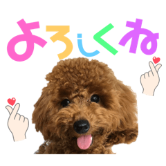 natsu_20250908000104