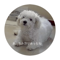 Michan_20250907201441