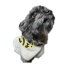 tammy_20250908093516