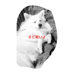 yuka_20250907202051