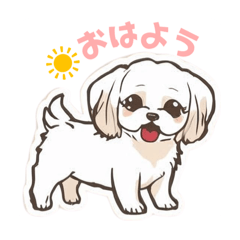 Yuchi_20250908100645