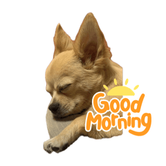 tonton_20250908125845