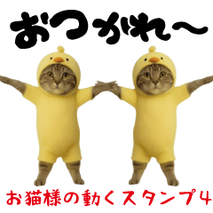 お猫様の動くスタンプ4