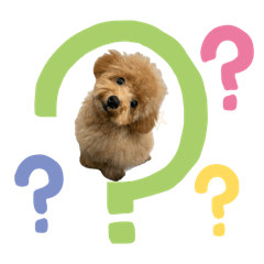 kinako_20250908152658