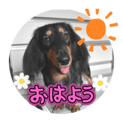 rrat_20250907230424