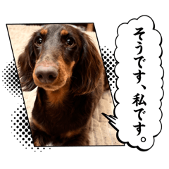 chika_20250908072831