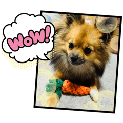 kasumi_20250908085741