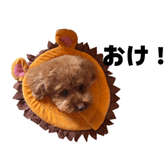 nanako_20250908134416