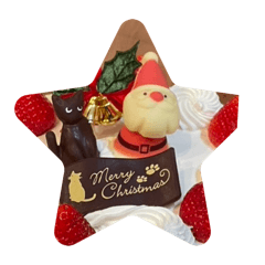 sachi_20250908132527