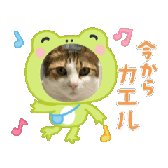 koko_20250909102159