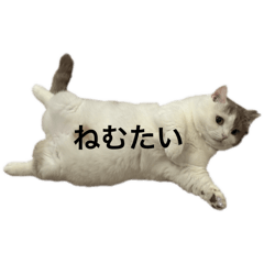 chihiro_20250908182616