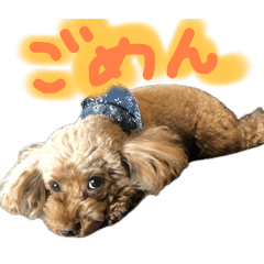 Coo chan dayo 2