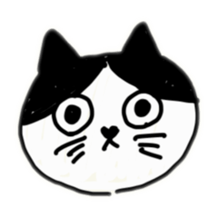 kiki_20250908112810