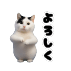 動く！踊るミニ猫ミーム