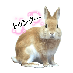 atelier K_20250908133618